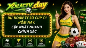 Dự đoán tỷ số cúp C1 hôm nay: Cập nhật nhanh chính xác
