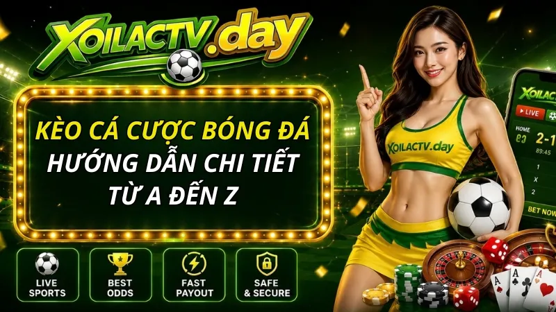 Kèo Cá Cược Bóng Đá Là Gì? Hướng Dẫn Chi Tiết Từ A Đến Z