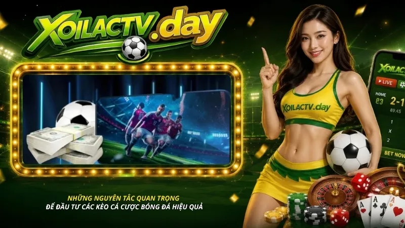 Những nguyên tắc quan trọng để đầu tư các kèo cá cược bóng đá hiệu quả