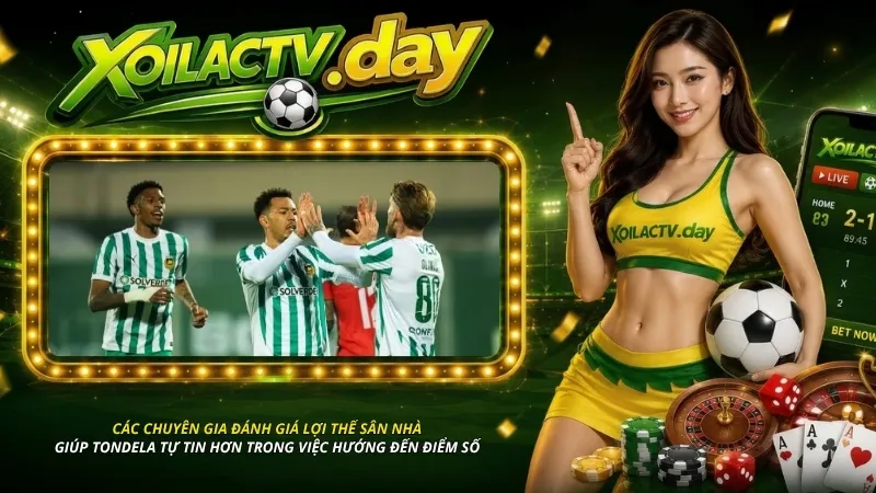 Các chuyên gia đánh giá lợi thế sân nhà giúp Tondela tự tin hơn trong việc hướng đến điểm số